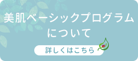 美肌ベーシックプログラム